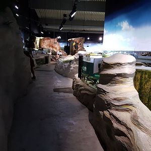 View into the Aquarium