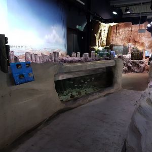 View into the Aquarium