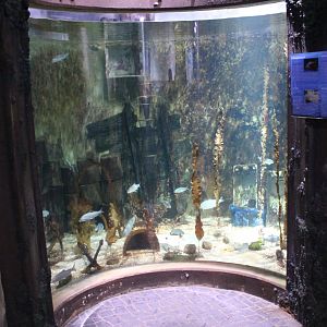 Aquarium