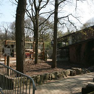 Giraffe enclosure make over