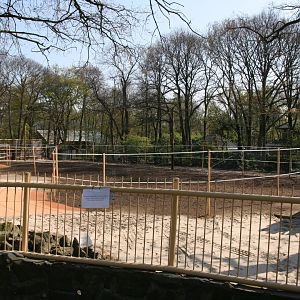 Giraffe enclosure make over