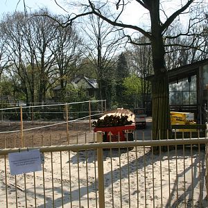 Giraffe enclosure make over