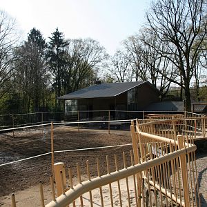 Giraffe enclosure make over