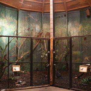 Indoor aviary's at the africa house