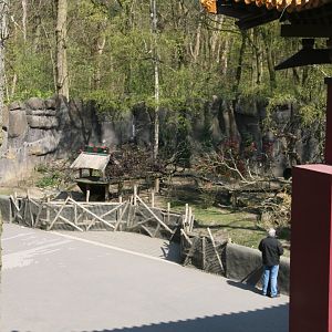 Red panda and muntjac enclosure