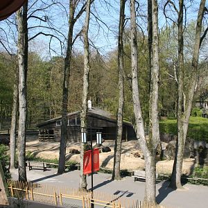 Domestic yak enclosure