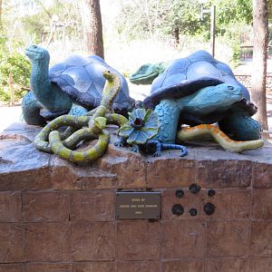 Reptile Statue