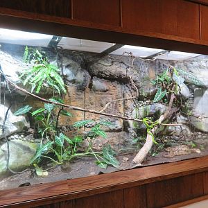 Large Snake Exhibit