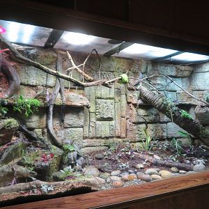 Large Tropical Exhibit
