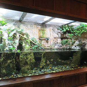 Tropical Aquarium Exhibit