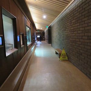 Reptile House Hallway