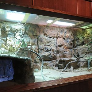 American Desert Exhibit