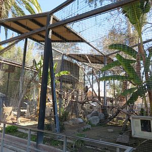 Bateleur Eagle Aviary