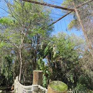 Tropical Walk-through Aviary
