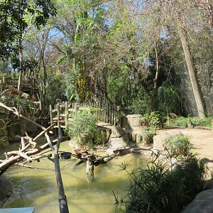 Tropical Walk-through Aviary