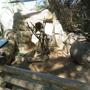 Armadillo/Porcupine Exhibit