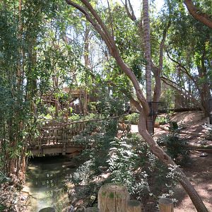 Tropical Walk-through Aviary