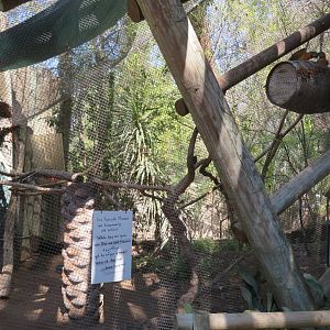 Macaw Side Enclosure