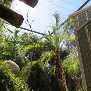 Tropical Walk-through Aviary