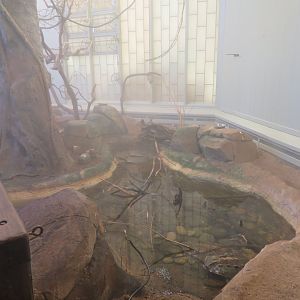 Tropical Treasures Steam