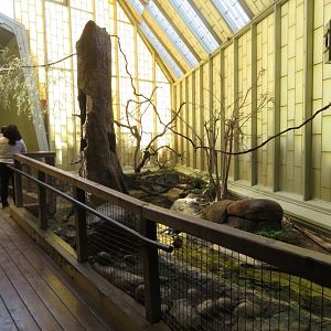 Tropical Treasures Interior