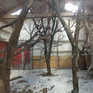 Indoors for Squirrel Monkey and Coati