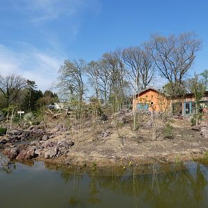View of Lemur island