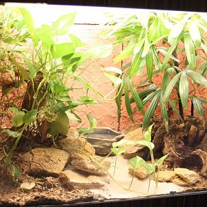 Enclosure Thamnophis sirtalis tetrataenia