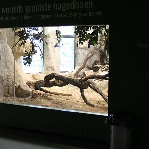 Enclosure Komodo dragon