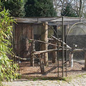 Rainbow lorikeet aviary