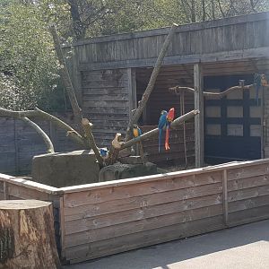 Macaw enclosure