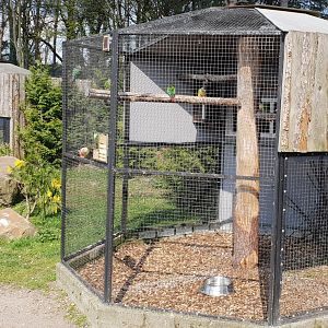 Conure aviaries
