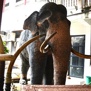 Mounted sacred temple elephant