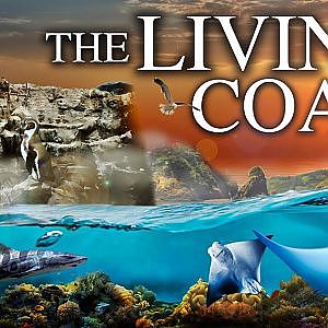 The Living Coast | Zoo Tours