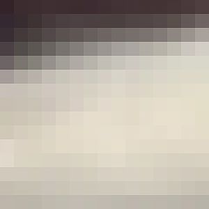 Tasmanian Golden Possums