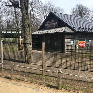 Well-themed Emu Exhibit