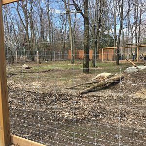 Japanese Serow Enclosure