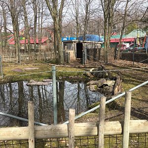 (Currently Empty) Capybara Exhibit