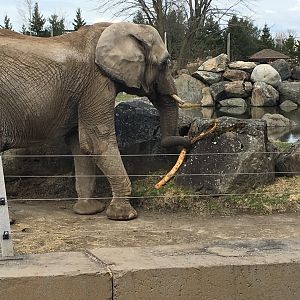 Sarah playing with a stick