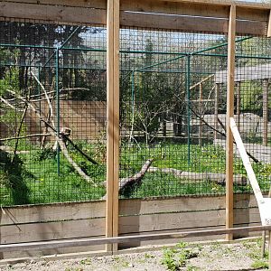 Serval-enclosure