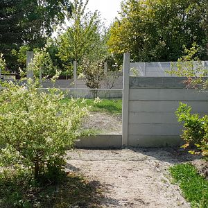 Enclosure Small-clawed otter