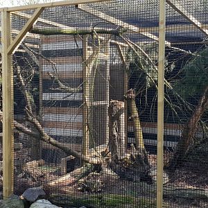 Enclosures Siberian weasel