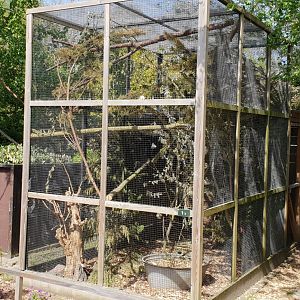 Enclosure Japanese squirrel
