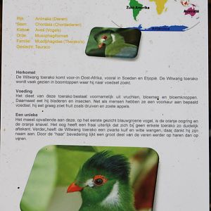 Sign White-cheeked touraco