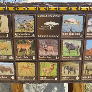 African Savanna Signage