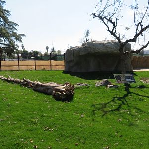 NEW Warthog/Tortoise Exhibit