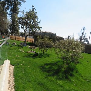 NEW Warthog/Tortoise Exhibit