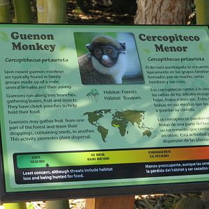 Guenon Signage