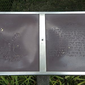 Braille Signage