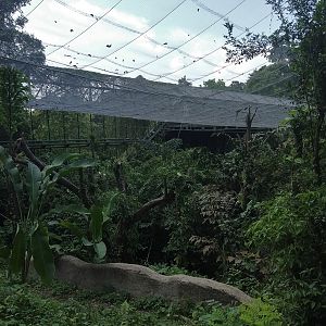 Waterfall Aviary